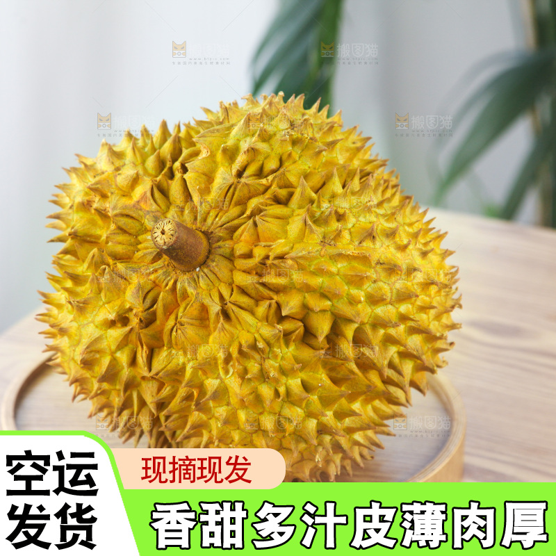 金枕榴莲
