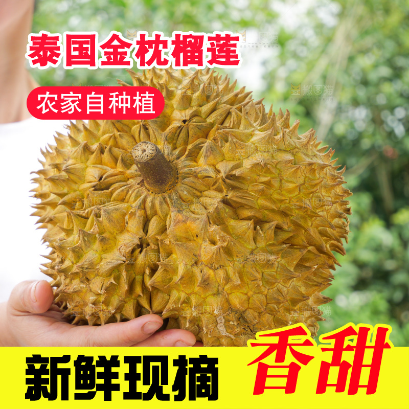 金枕榴莲