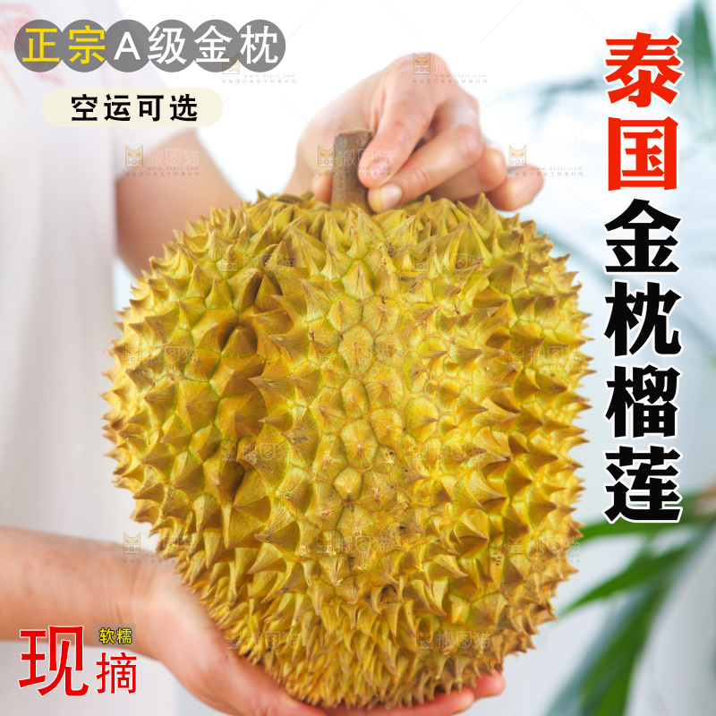 金枕榴莲