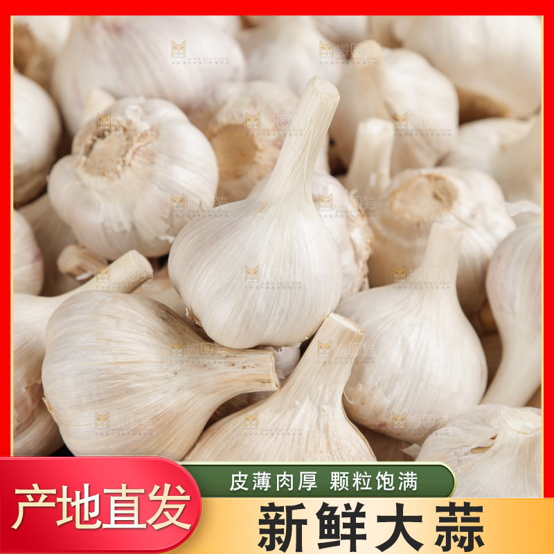 大蒜