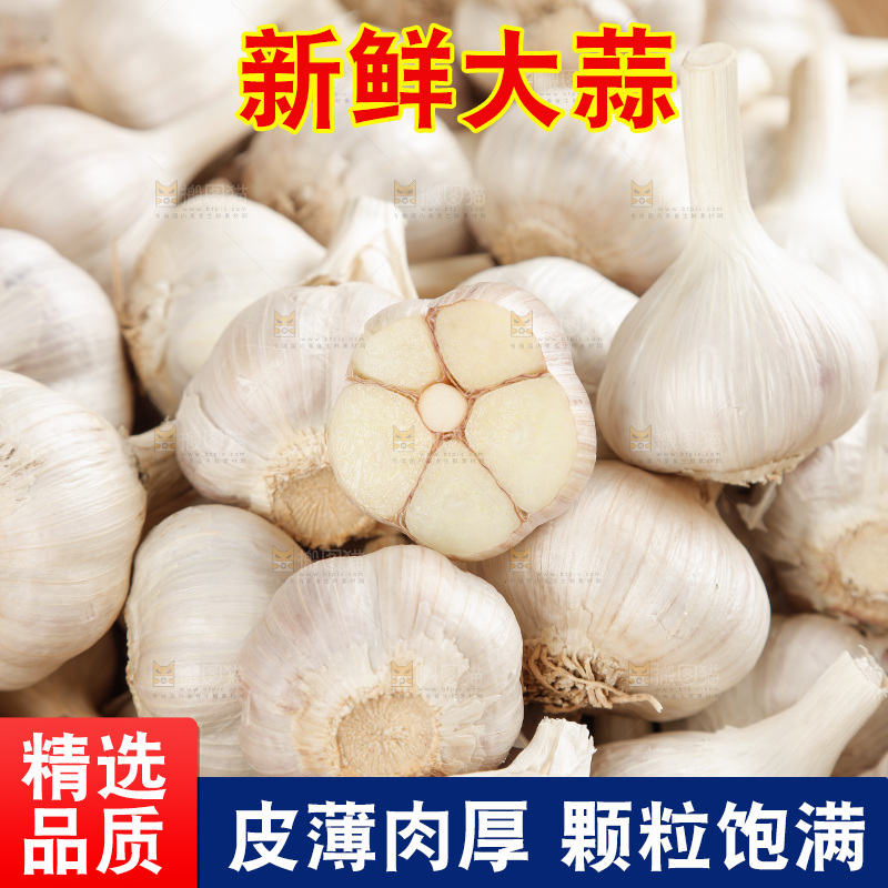 大蒜