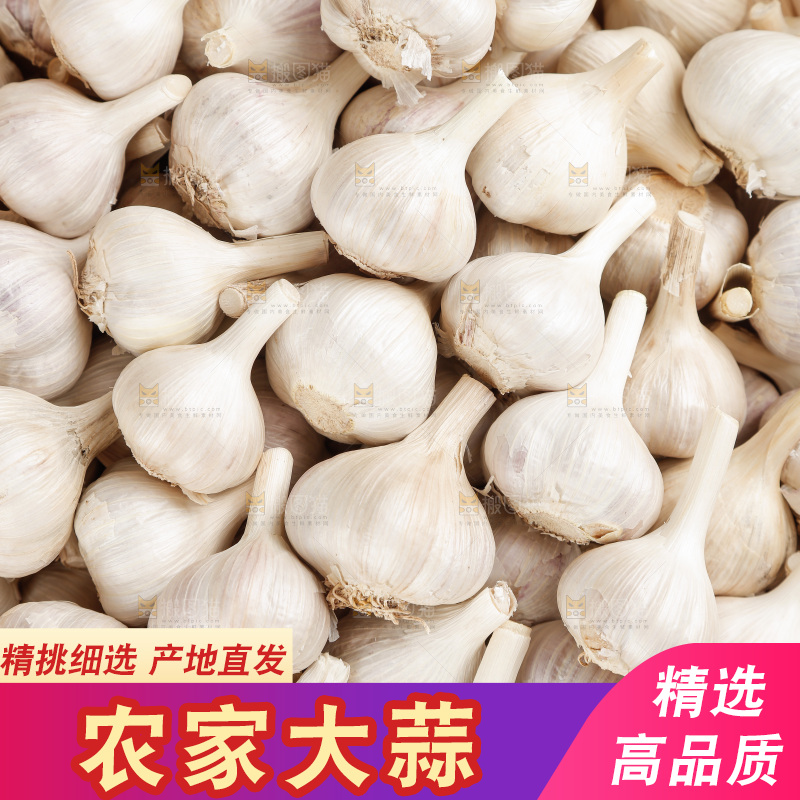 大蒜