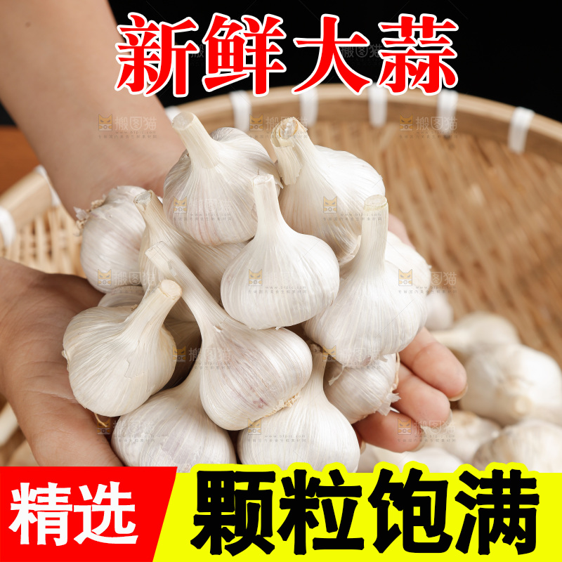 大蒜