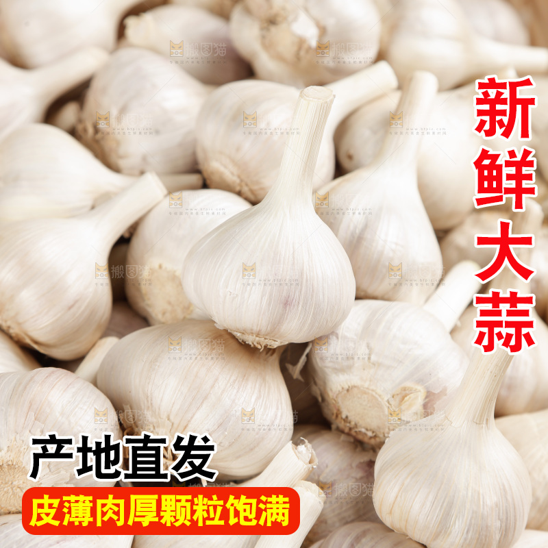 大蒜