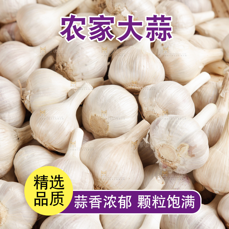 大蒜