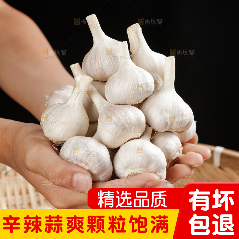 大蒜