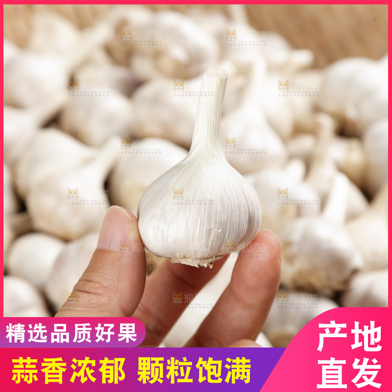 大蒜