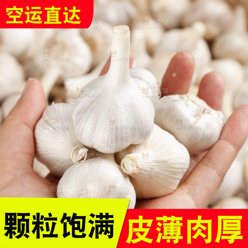 大蒜