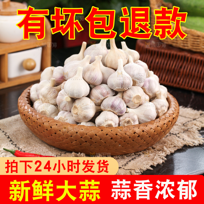 大蒜