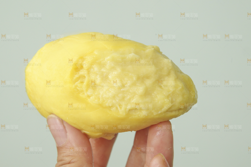 金枕榴莲