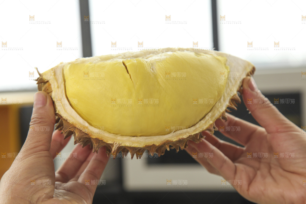 金枕榴莲