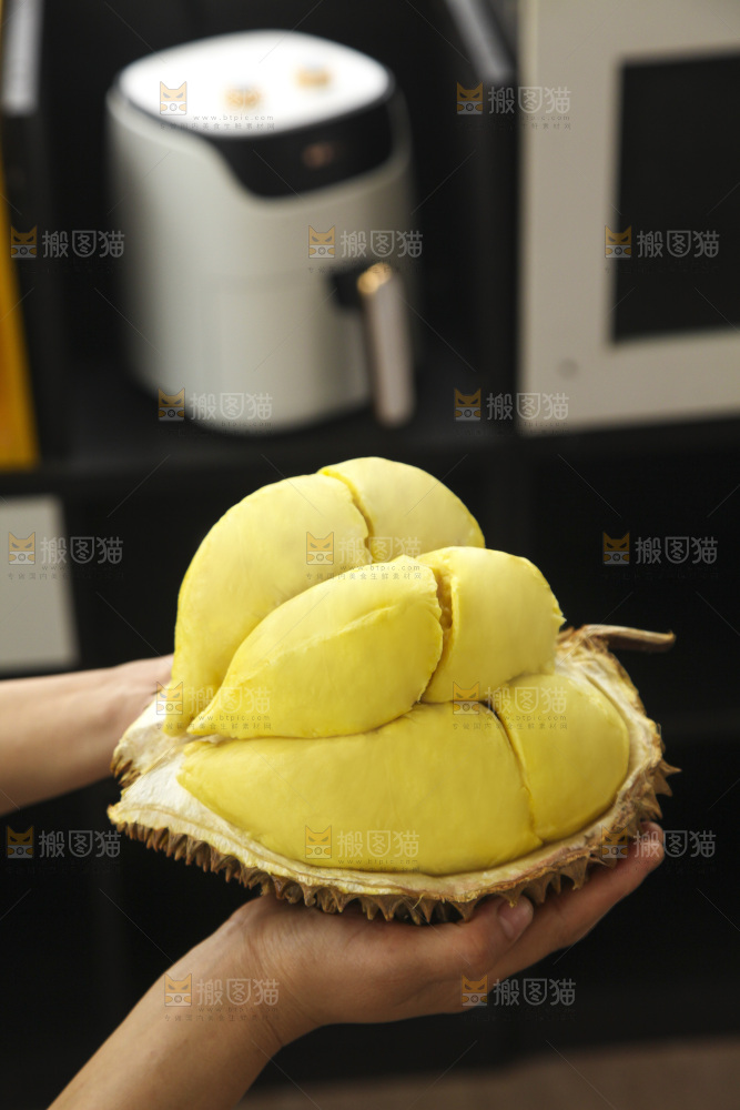 金枕榴莲