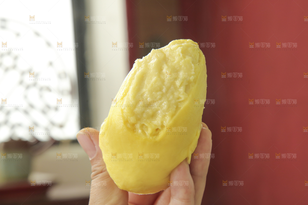 金枕榴莲