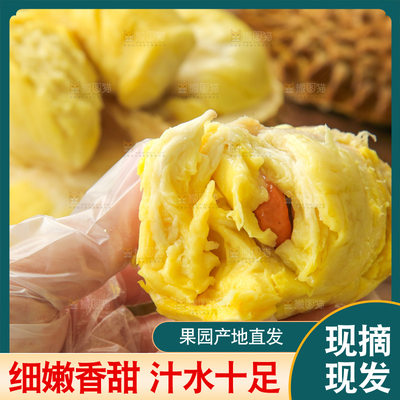 金枕榴莲
