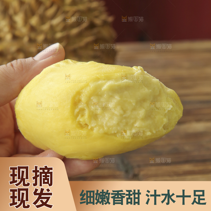 金枕榴莲