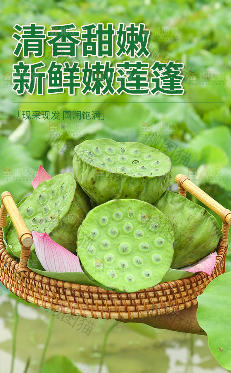 莲蓬详情页