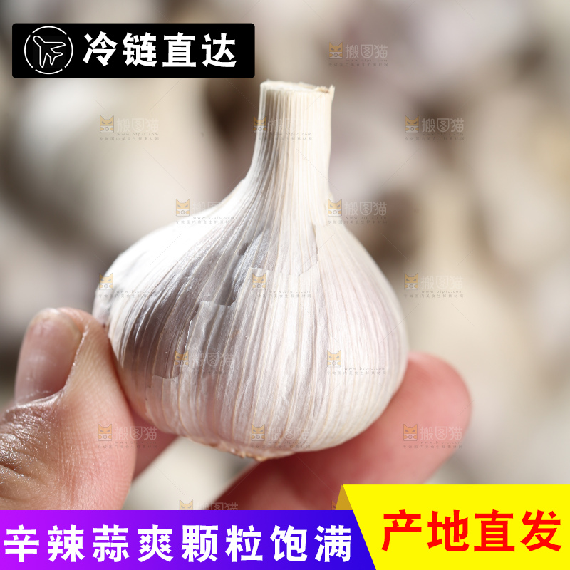 干大蒜