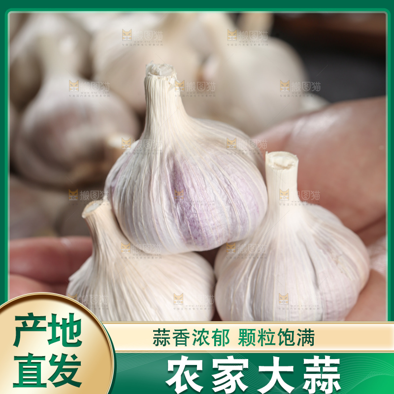 干大蒜