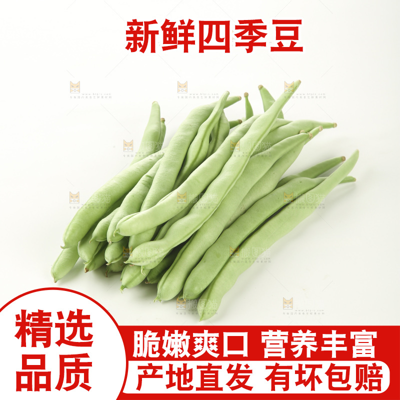 四季豆