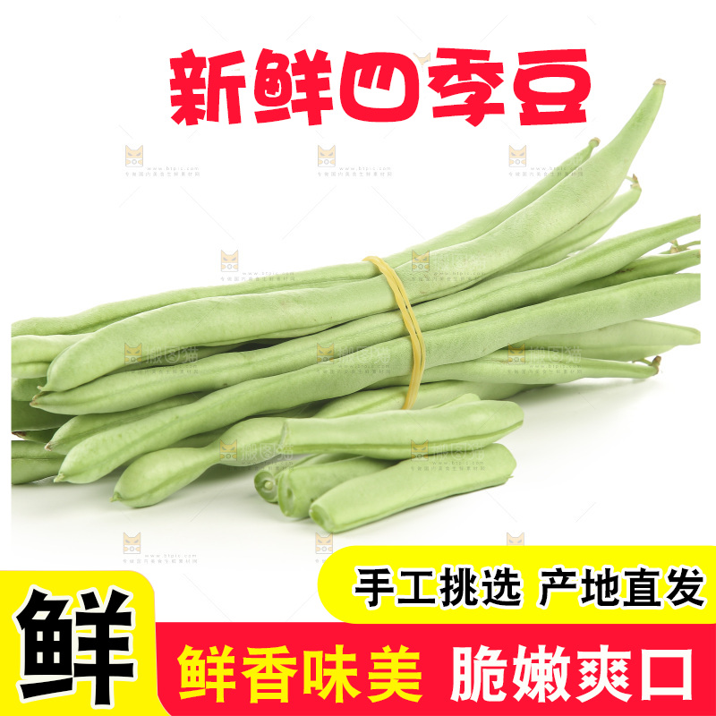四季豆