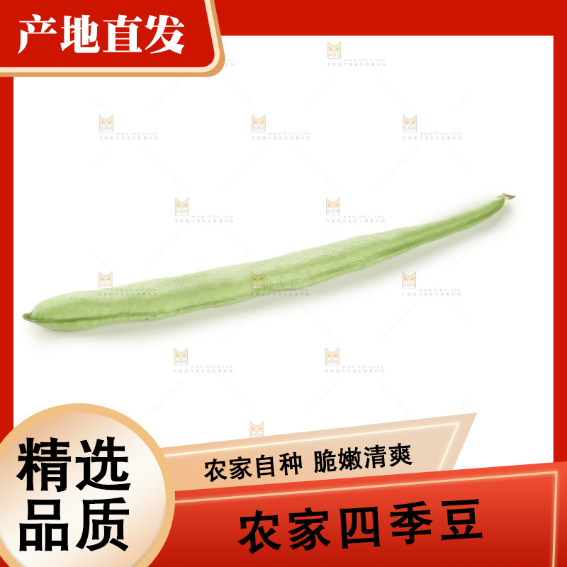 四季豆