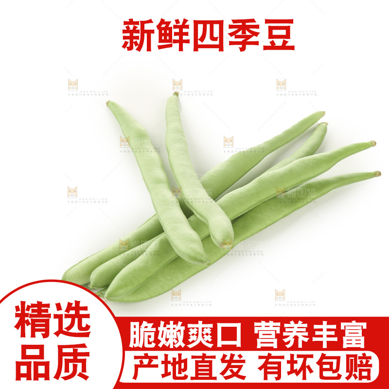 四季豆