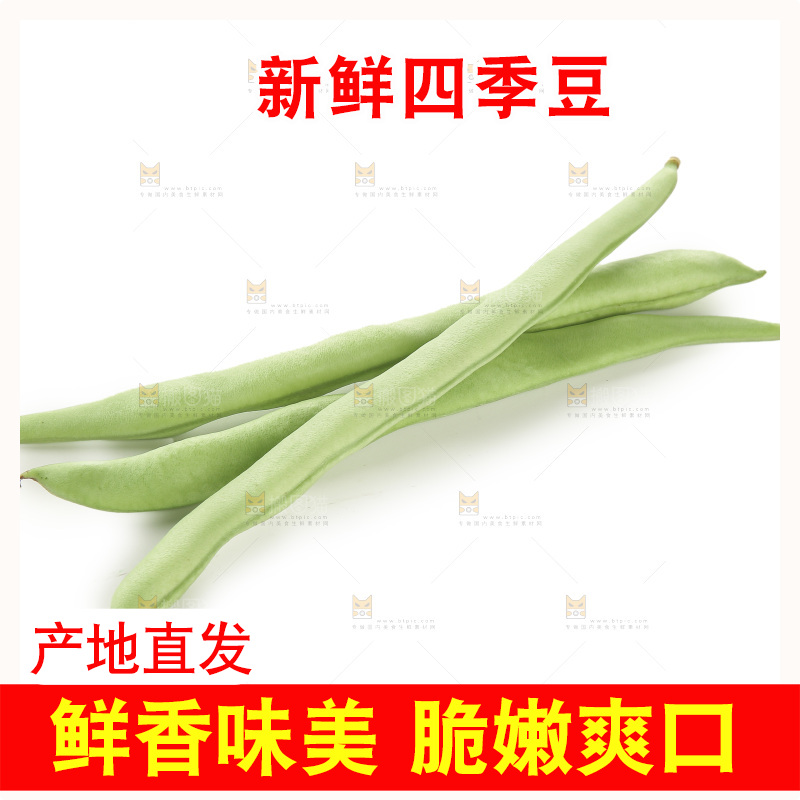 四季豆