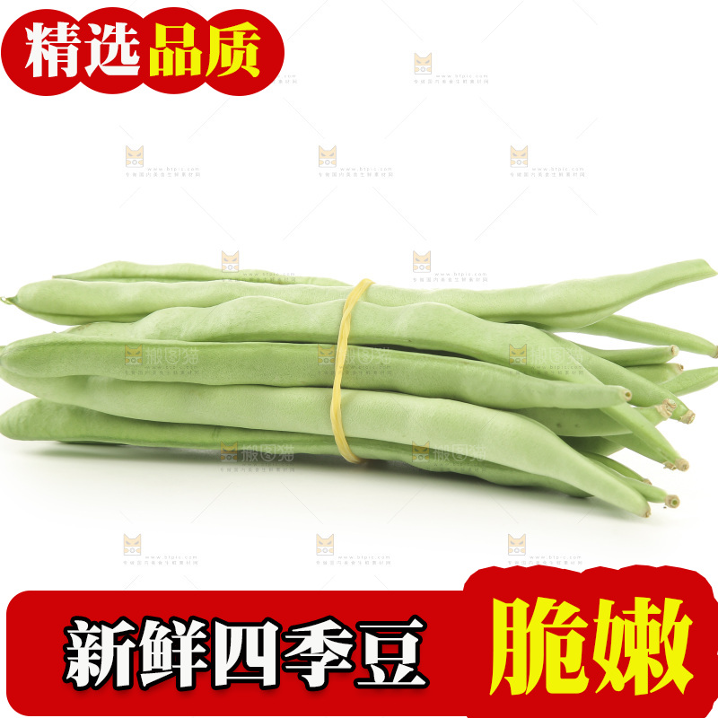 四季豆