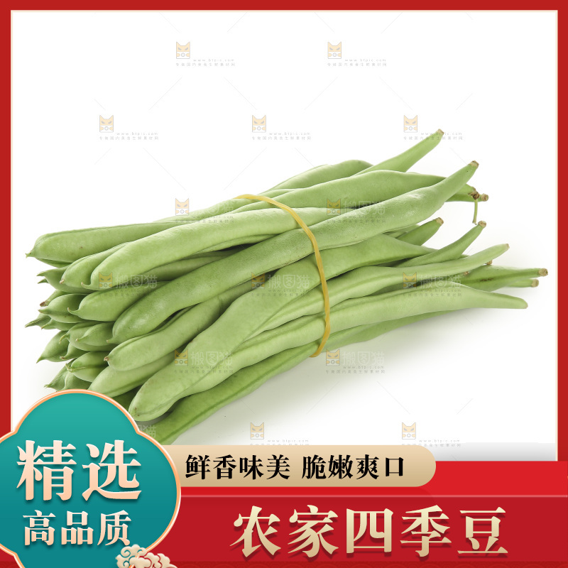 四季豆