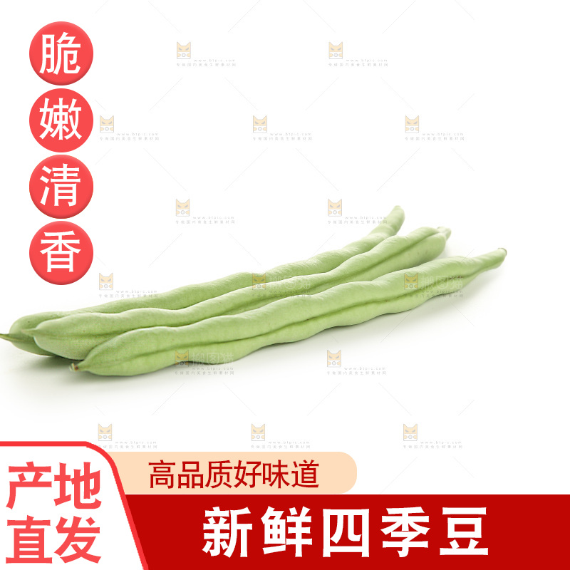 四季豆