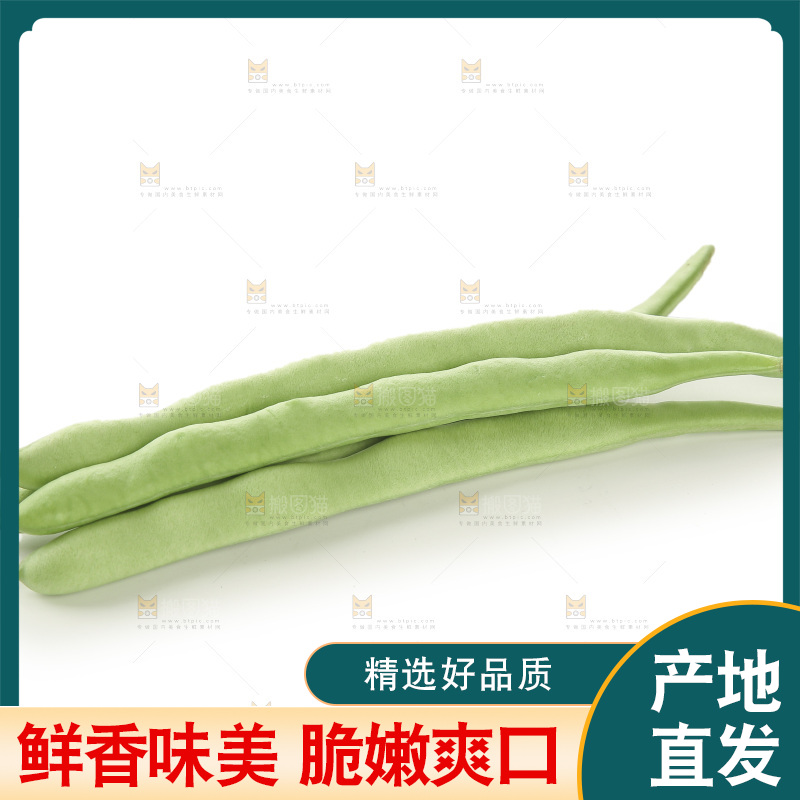 四季豆