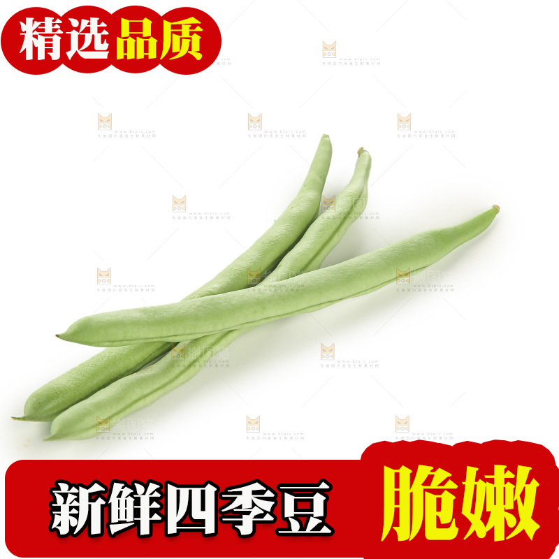 四季豆