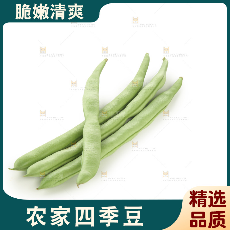 四季豆