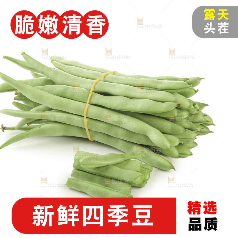 四季豆