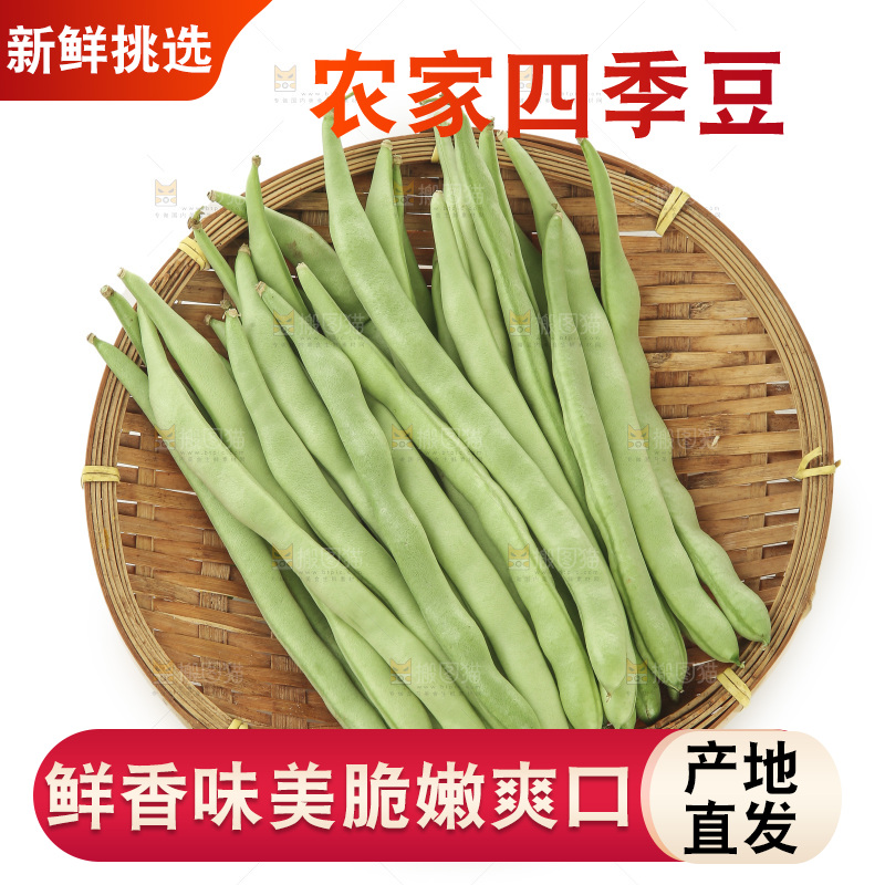 四季豆