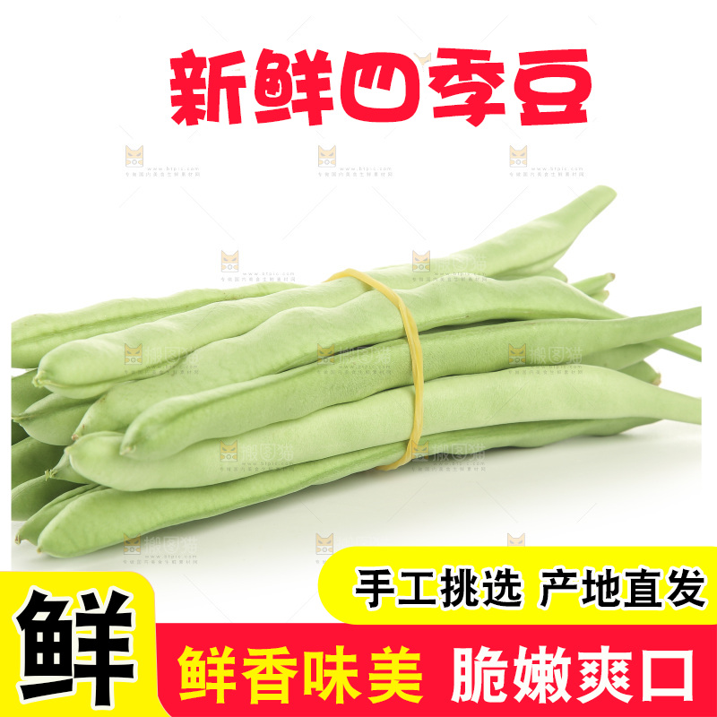 四季豆