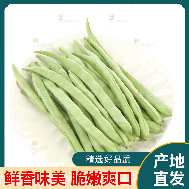 四季豆