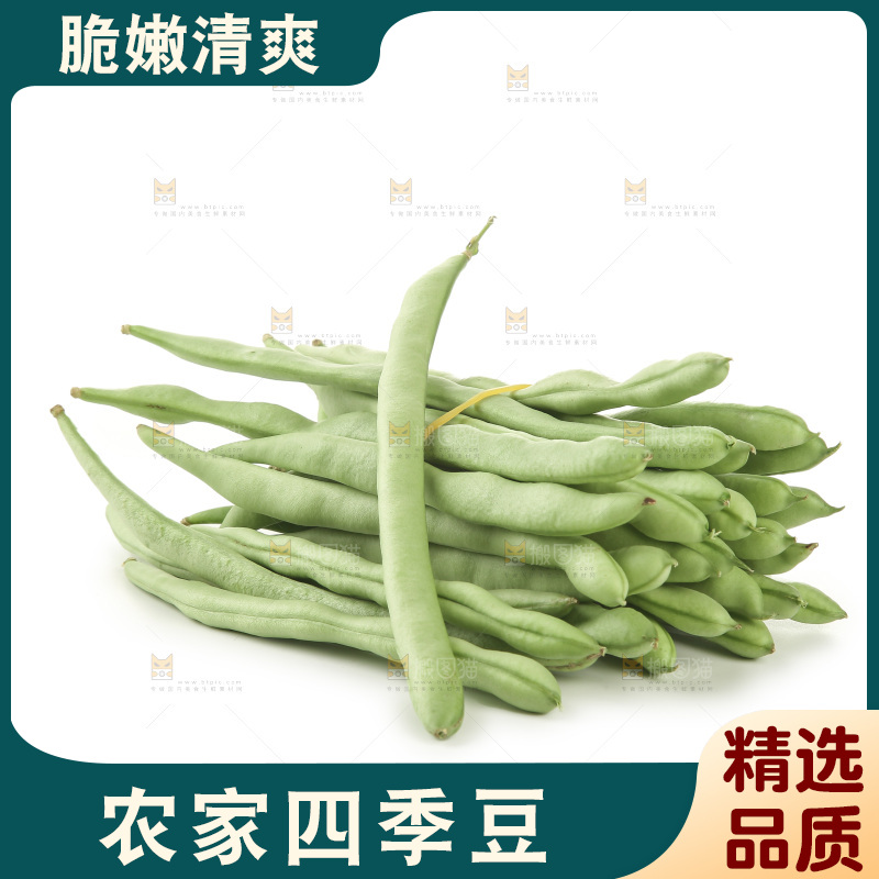 四季豆