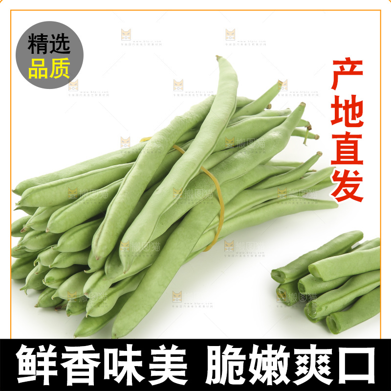四季豆