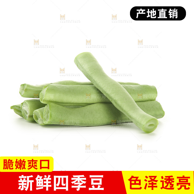 四季豆