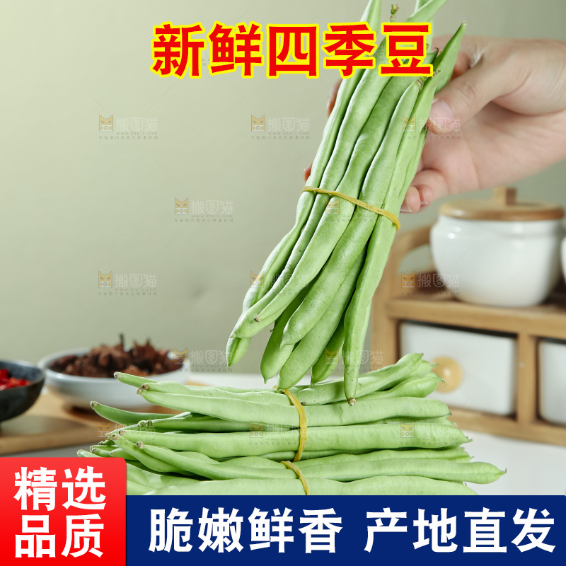 四季豆