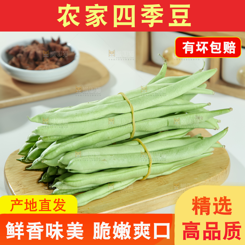 四季豆