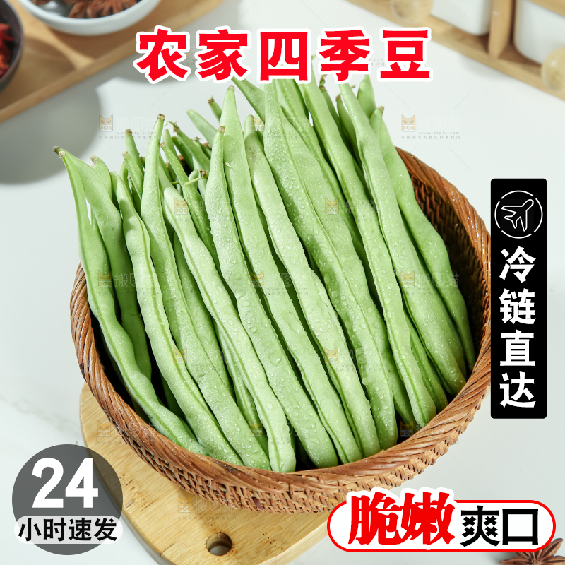 四季豆