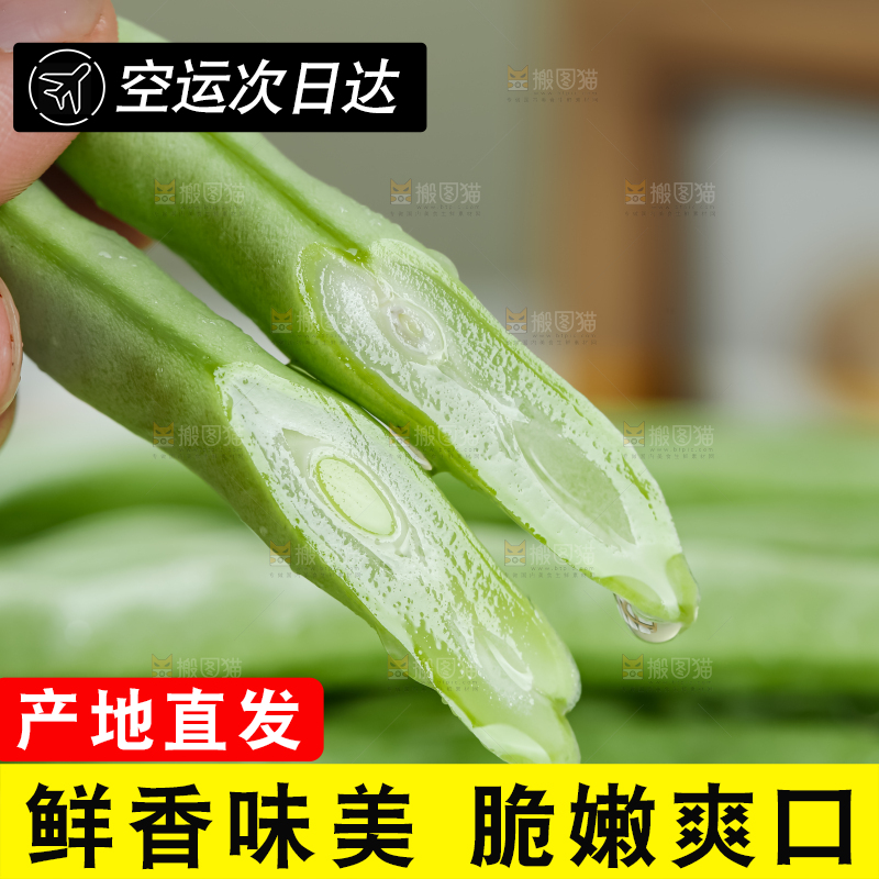 四季豆