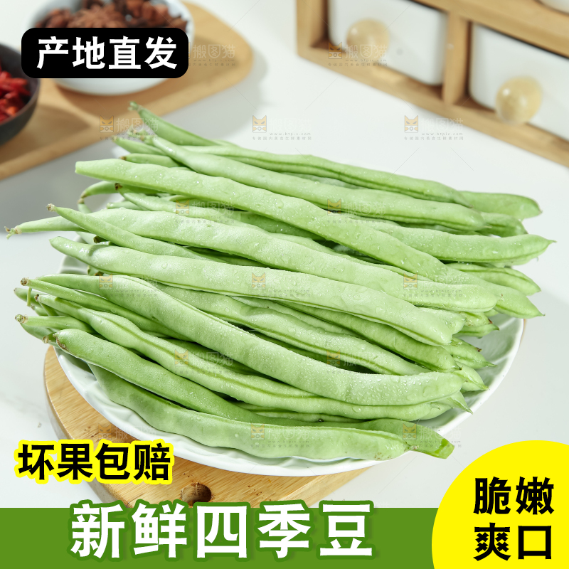 四季豆