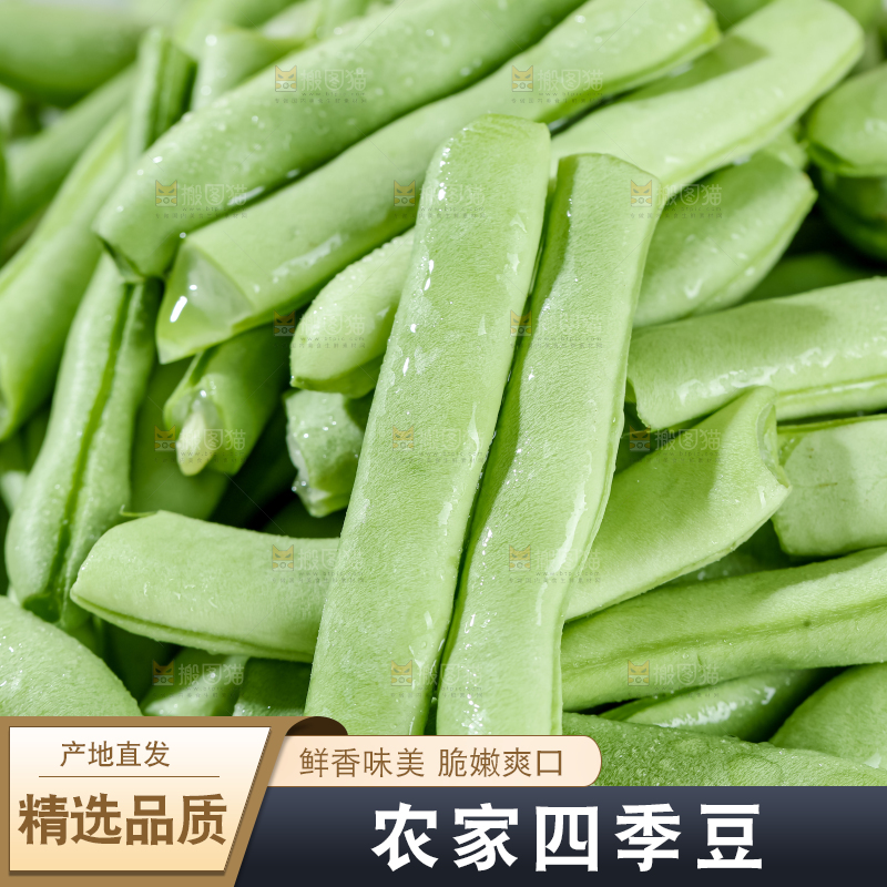 四季豆