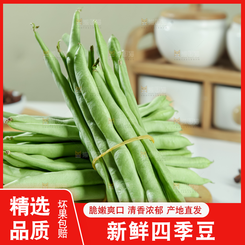 四季豆