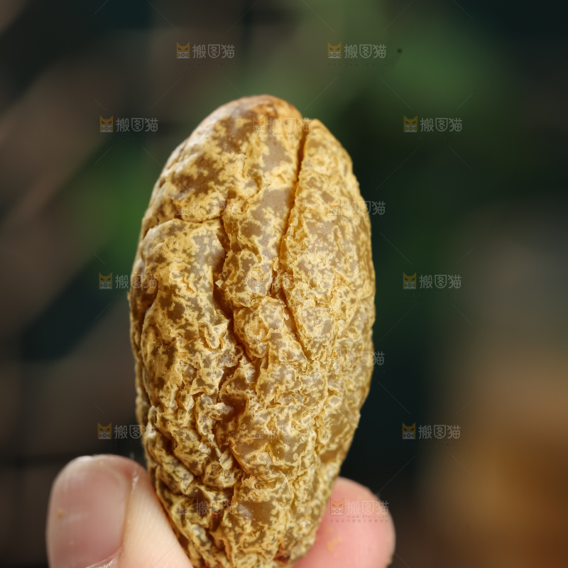 橄榄干