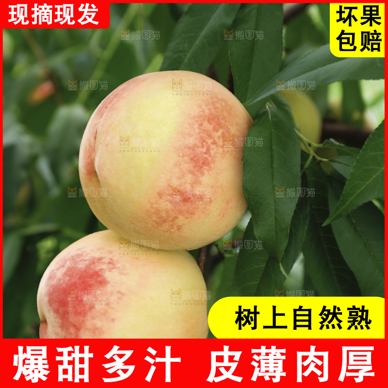 水蜜桃