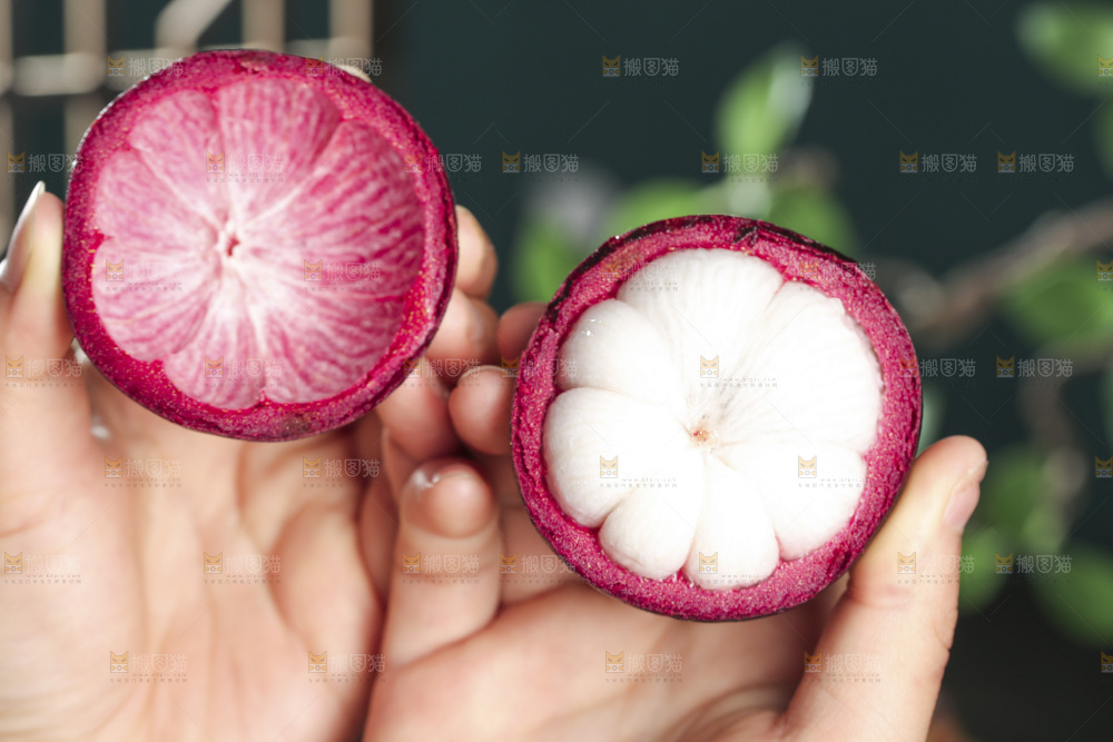 山竹